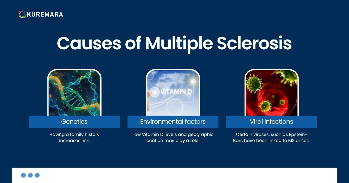 What Causes Multiple Sclerosis?